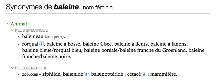 Hyperonyme et hyponyme