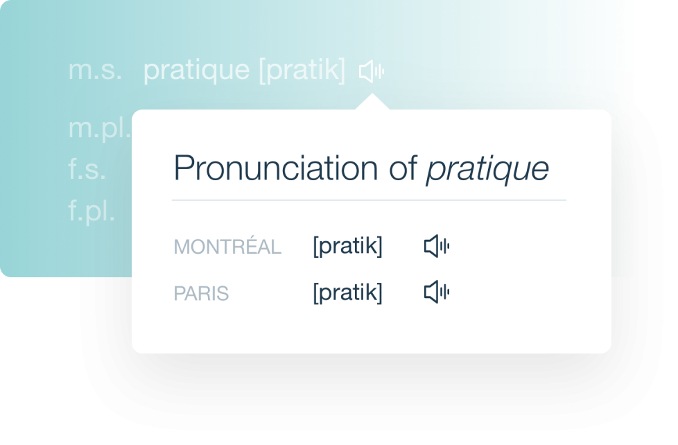 Antidote 12 French Module | Antidote