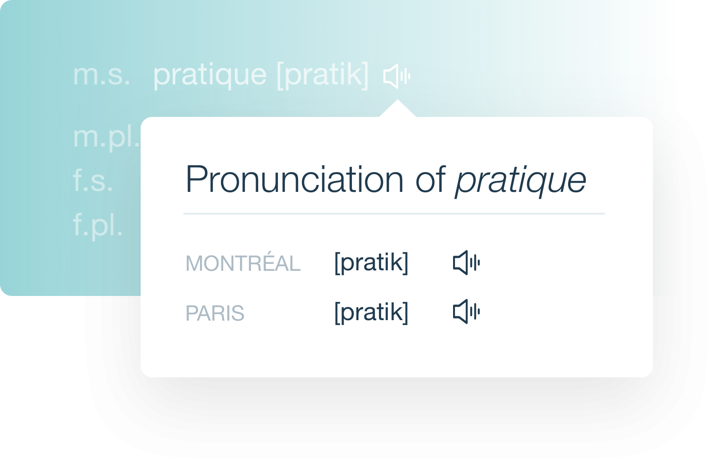 Antidote 12 French Module | Antidote